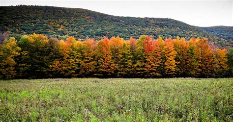 4 Top Places To See Fall Foliage In Massachusetts Balise Toyota Scion