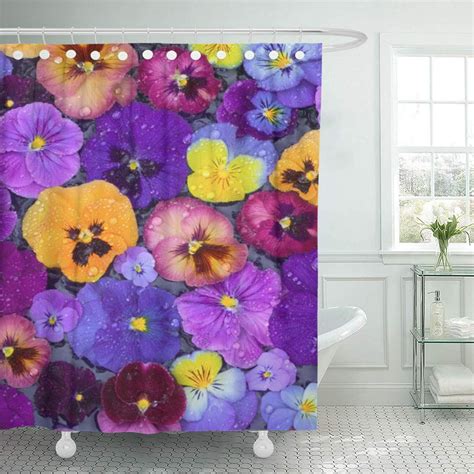 Cynlon Purple Rain Pansy Flowers Floating In Bird Bath Colorful