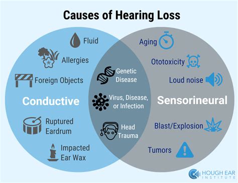 Conductive Vs Sensorineural Hearing Loss Differences Between Causes