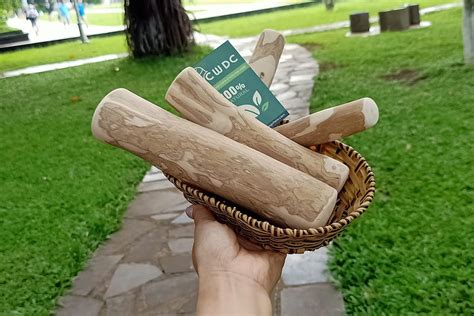Coffee Wood Dog Chew Review What Wood Can Dogs Chew Safely