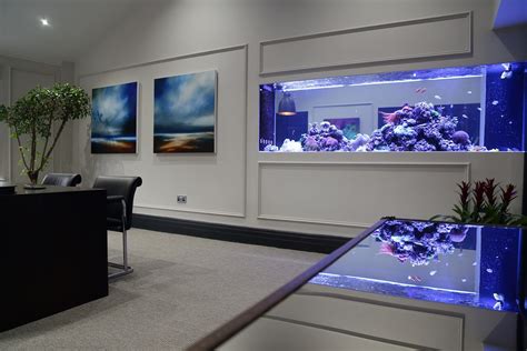 Ultimate Office Coral Reef Aquarium In Altrincham Ocean Life Aquatics