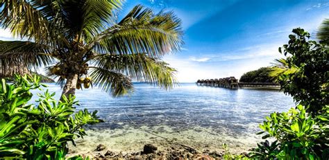 Best Time To Visit Fiji Travel Experts About Fiji