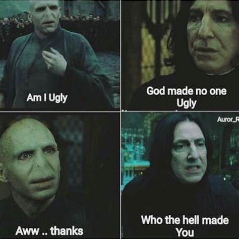 31 Funniest Voldemort Memes That Will Make You Laugh Uncontrollably