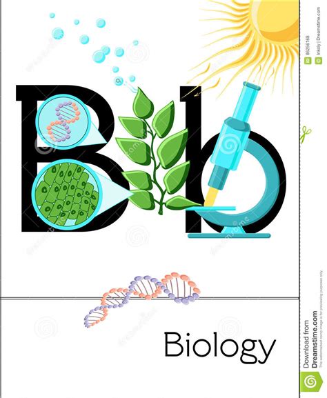 La Lettre B De Carte Flash Est Pour La Biologie Illustration De Vecteur
