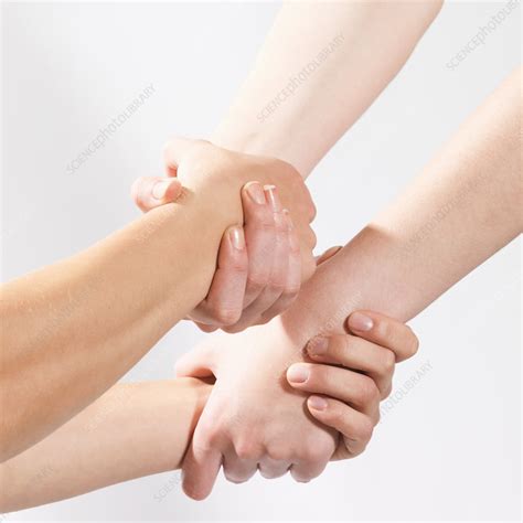 2 Pair Of Hands Holding Each Other Stock Image F0035687 Science