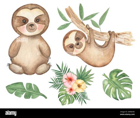 Sloth Clipart Watercolor Baby Sloth Clip Art Tropical Animal Leaves