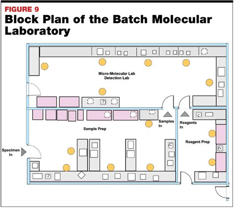 Modern Microbiology Laboratory Planning And Design May 2019