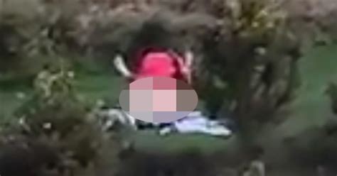 Man Films Couple Having Sex In Park Thought They Were Fighting