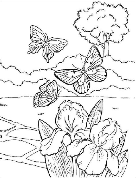 Ausmalbilder Frühling 15 | Ausmalbilder zum ausdrucken