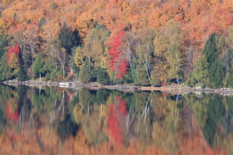 Fall Colours Reflecting Over Calm Lake In Ontario Stock Photo Image