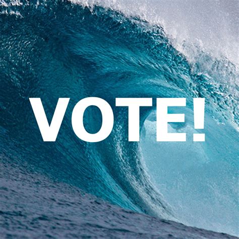 Build The Blue Wave Confirm Prepare And Gotv For Midterms 2018 Best