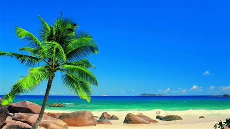 Free download Tropical Beaches In Florida Hd Wallpapers [1920x1200] for ...