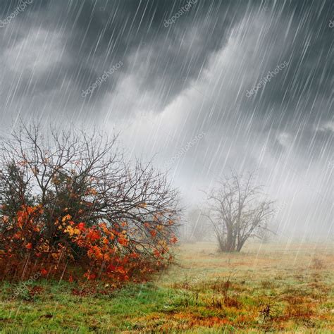 Fall Landscape In Rain And Fog Stock Photo By ©beatabecla 19401509