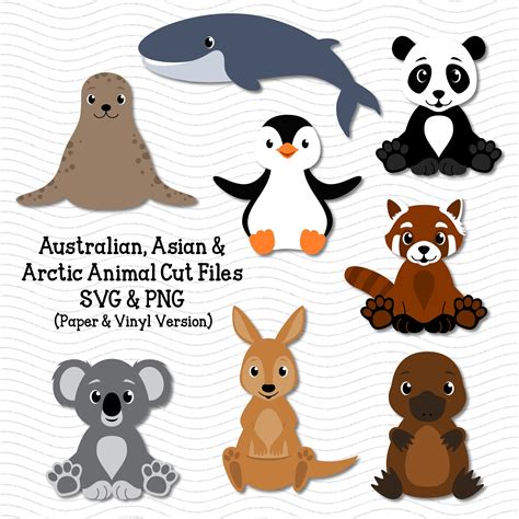 Australian Animals Svg