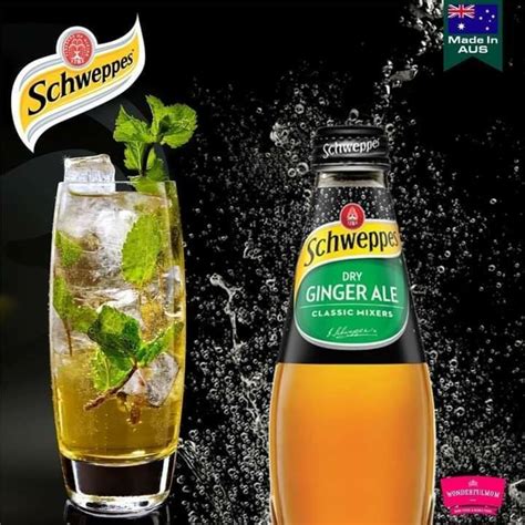 Schweppes Dry Ginger Ale 300ml Wonderfulmomlk