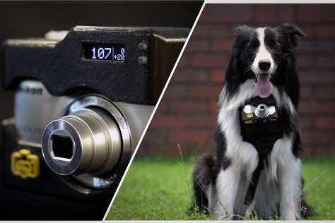 Old Dog New Pics This New Nikon Camera Case Lets Your Pup Snap Photos