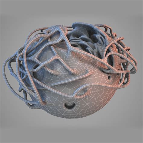 Cell Nucleus 3d Model Cgtrader