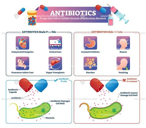 Antibiotics Medical Informative Vector Illustration Infographic Poster