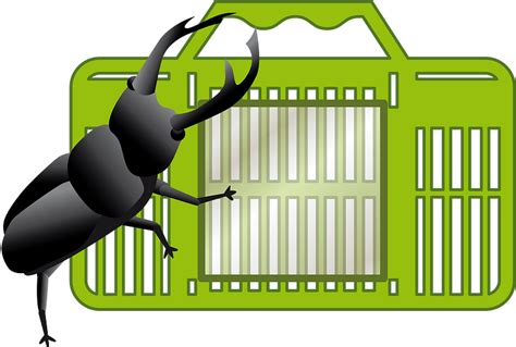 Stag Beetle Clipart Free Download Transparent Png Creazilla