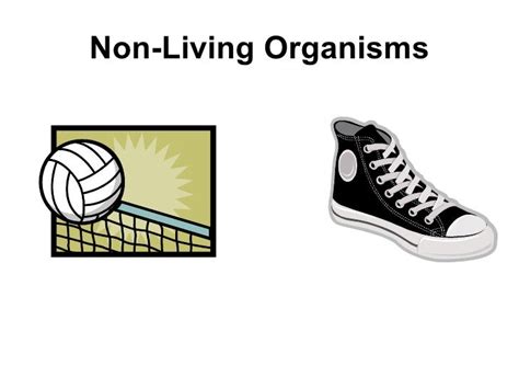 Non Living Organisms Examples