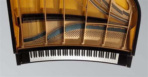 A Piano With A Curved Keyboard Will Star At Carnegie Hall The New