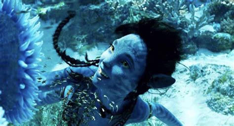 3 Misteri Di Avatar 2 The Way Of Water Siapa Sosok Kiri Spider Dan