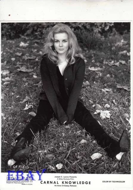 ANN MARGRET SEXY IN Sweater Carnal Knowledge VINTAGE Photo PicClick UK