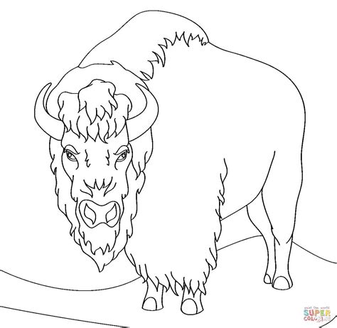 Angry Bison Coloring Page Free Printable Coloring Pages