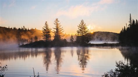 2560x1440 Lake Reflection Morning Mist Trees Nature Hd 4k 1440p