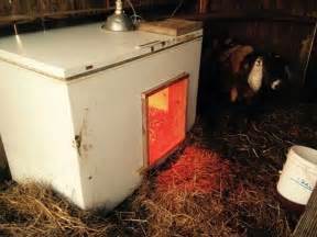 Other Cold Weather Shelter Made Out Of An Old Freezer Goat Farming