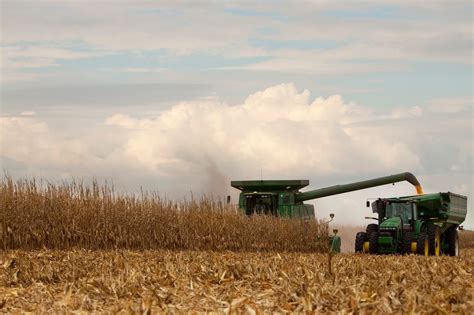 Nebraska Corn Kernels Have A Safety First Attitude This Harvest Season