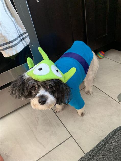Alien Dog Costume Toy Story Alien Dog Outfit Halloween Dog Etsy In