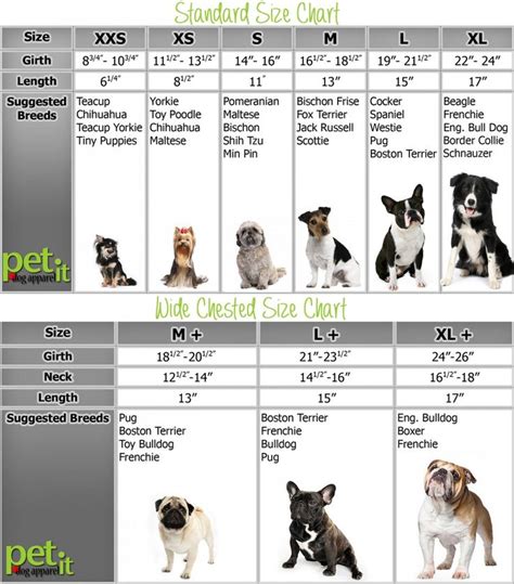 Features and shout outs available. dog clothes size chart pet it dog apparel Canada | Crochet ...