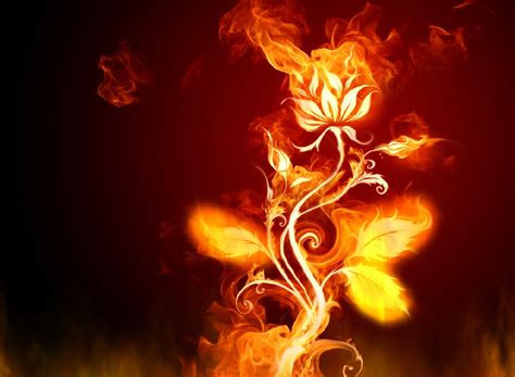 With tenor, maker of gif keyboard, add popular animated fire images animated gifs to your conversations. Download Fire Everywhere Animated Wallpaper ...