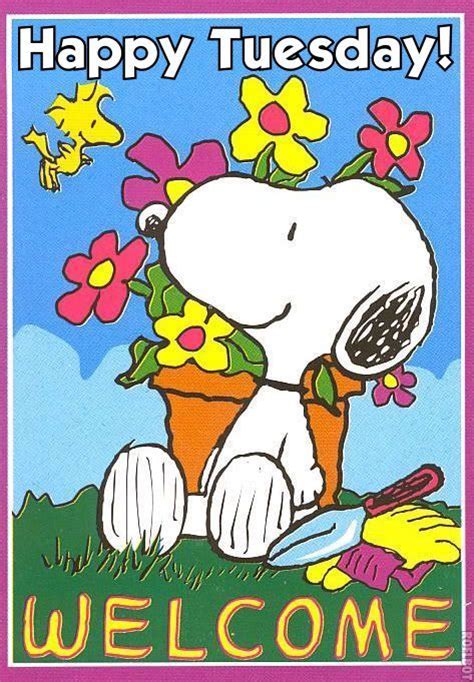Happy Tuesday Snoopy Pictures Photos And Images For Facebook Tumblr Pinterest And Twitter