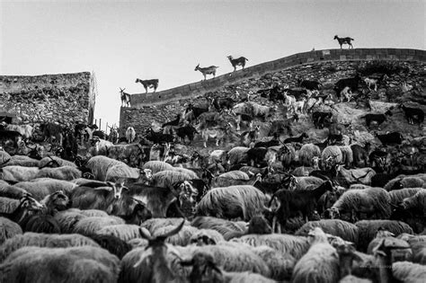 Antonino Gitto - Everyday Life Photography Projects: A Visual Journey