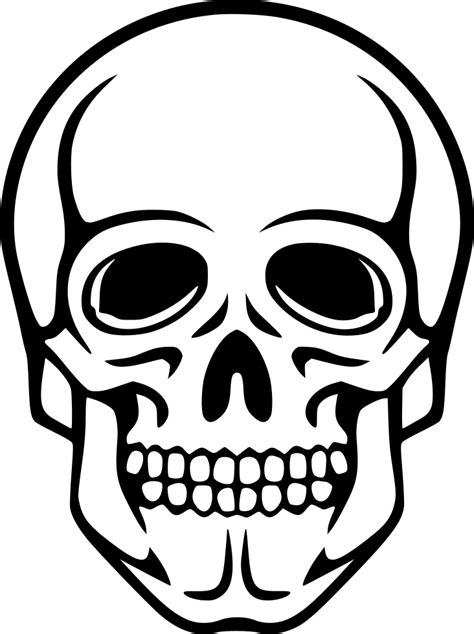 Free Skeleton Face Png Download Free Skeleton Face Png Png Images