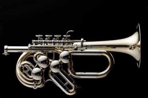 Aus wikipedia, der freien enzyklopädie. Talk to me about Schagerl... - Page 2 | Piccolo trumpet ...