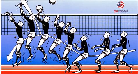 Volleyball Beyond The Fundamentals