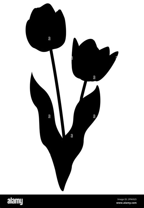Black Silhouette Of Decorative Tulips Flowers Glyph Logo Icon Vector