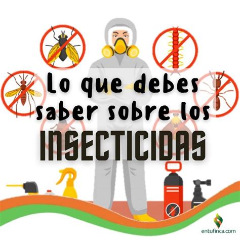 Lo Que Debes Saber Sobre Los Insecticidas