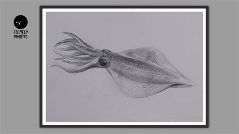 How To Draw A Squid Pencil Sketch Squid Drawing Youtube