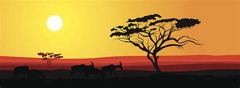 Royalty Free African Safari Background With Red Sunset And Tree Silhouette Clip Art Vector