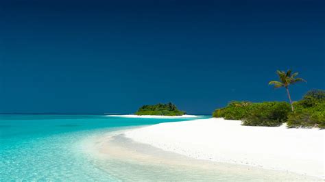 Landscape View Of Beautiful Ocean White Beach Sand Palm Trees Hd Ocean