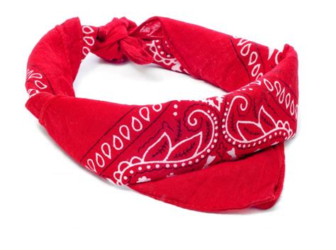 What Is A Bandanna With Pictures