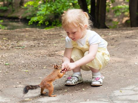 The california natural resources agency has banned most wild animals, including seals, bighorn sheep, and falcons, from being as kept as pets in california. Dad, Can We Own a Squirrel?