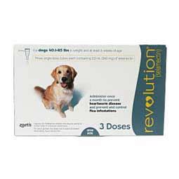 No need for messy monthly treatments. Revolution for Dogs Zoetis Animal Health - Safe.Pharmacy ...