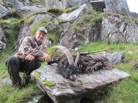 Sika Hunting In Ireland ı Hunting Trip To Kerry