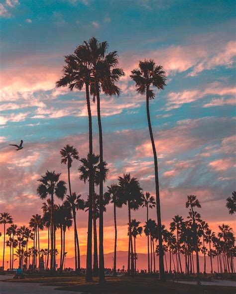 🇺🇸 Los Angeles Sunset California From Travelnaturephotos On