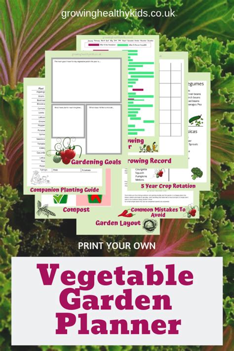 When planning a new vegetable garden, start off right by picking a site that offers plenty of light. DIY Vegetable Garden Planner - Growing Healthy Kids